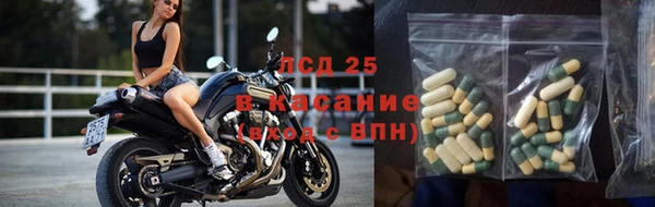 сатива Верхний Тагил