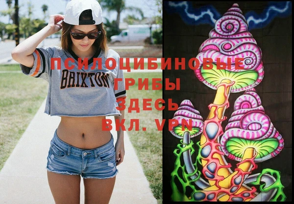 бошки Верея