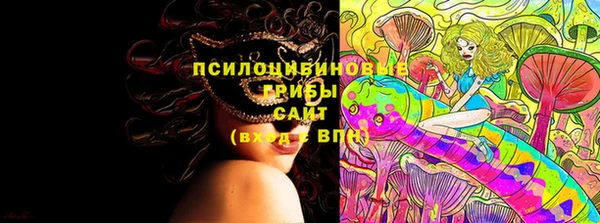 бошки Верея